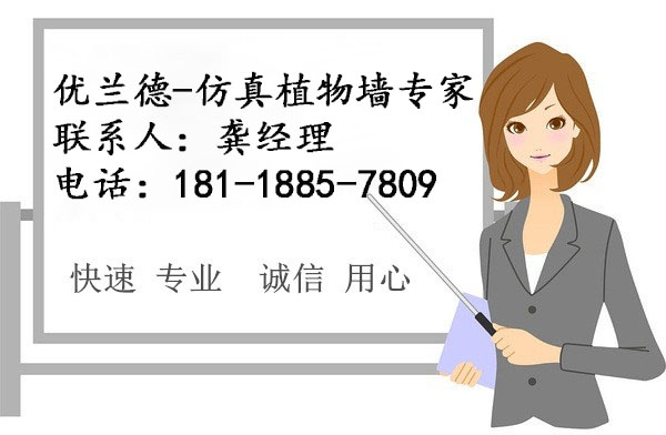 優(yōu)蘭德Ulandcn，仿真植物墻專家！