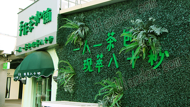 室外場(chǎng)所使用仿真植物墻