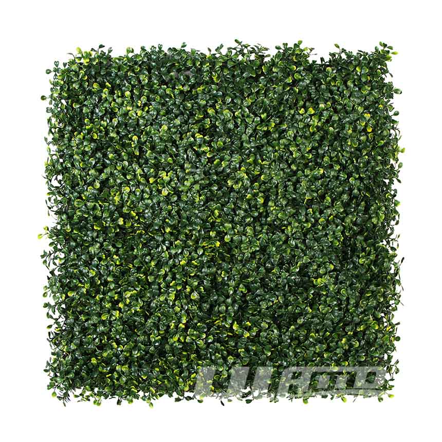 仿真植物米蘭黃