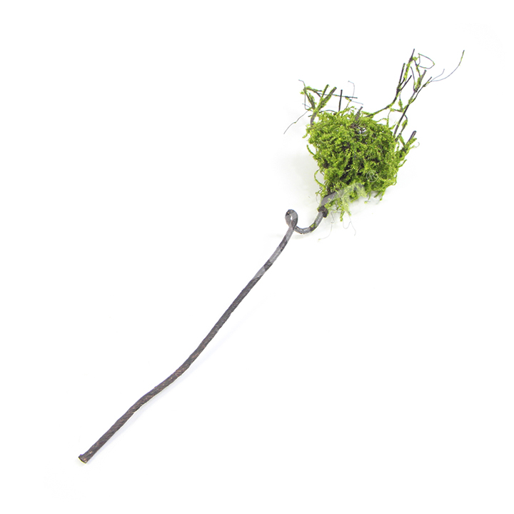 仿真不加芽鳥(niǎo)巢大插枝