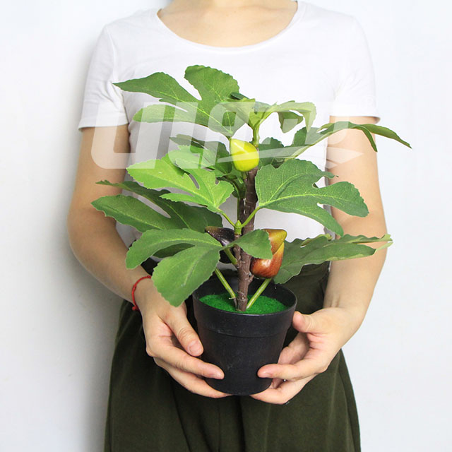 仿真小盆栽無(wú)花果