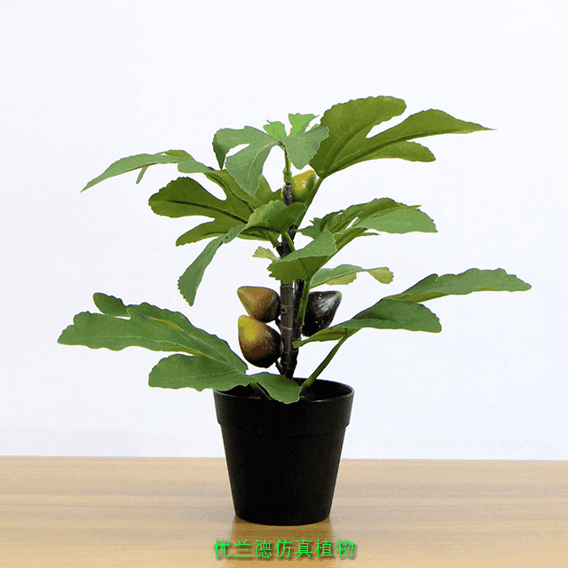 仿真小盆栽無(wú)花果