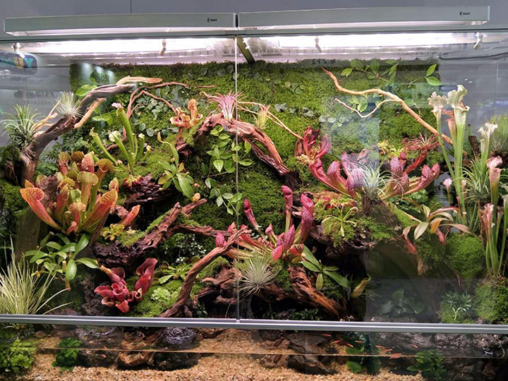 室內(nèi)仿真植物墻景觀