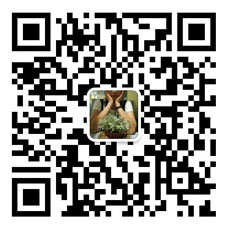 關(guān)注你附近